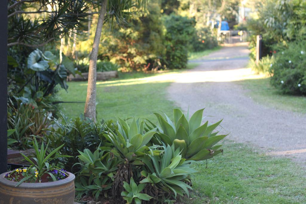 Ferienwohnung Pk Illusions Maleny Exterior foto